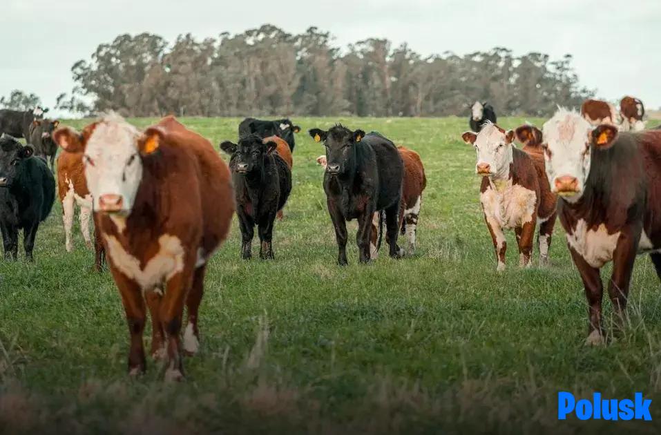 Planning Your Retirement Financially Planning Your Retirement Financially